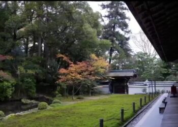 🟢 Εμβολιασμός και παραπληροφόρηση | Διάλογος με τους Πολίτες