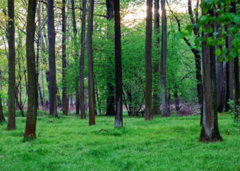 Οι δράσεις που θα αναλάβει η Ε.Ε. για το περιβάλλον