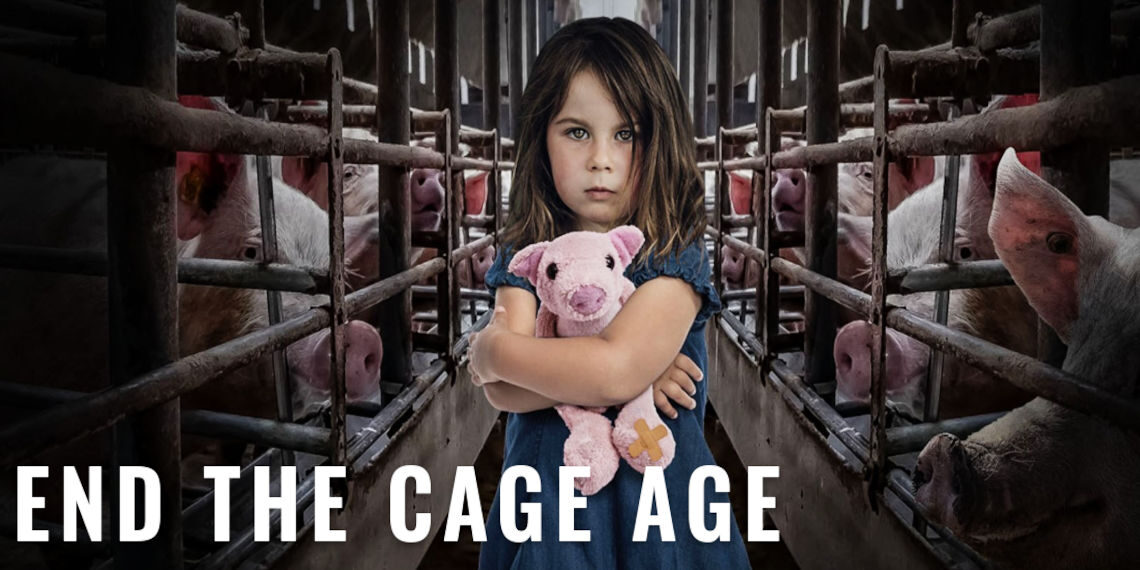 Το Ε.Κ. υπέρ της κατάργησης των κλουβιών στην κτηνοτροφία