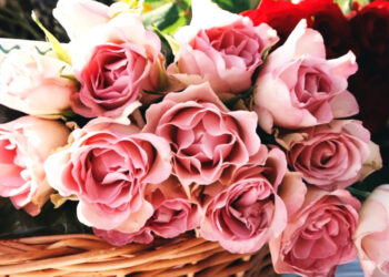 Ημέρες Θάλασσας 2021: «Γιορτή Λουλουδιών» στην πλ. Αλεξάνδρας