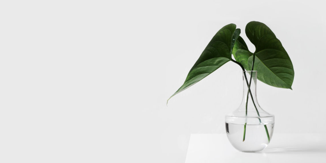 Η Ε.Ε. καλεί τους νέους να προτείνουν δράσεις για την κλιματική αλλαγή