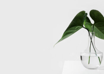 Η Ε.Ε. καλεί τους νέους να προτείνουν δράσεις για την κλιματική αλλαγή