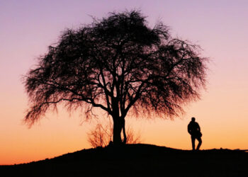 Μηδενική ρύπανση: 11 ερωτήσεις στο Ευρωπαϊκό σχέδιο δράσης