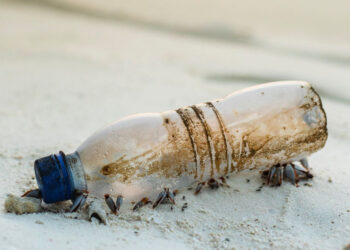 Στις 29 Ιουνίου η “Ημέρα Δράσης” για το περιβάλλον