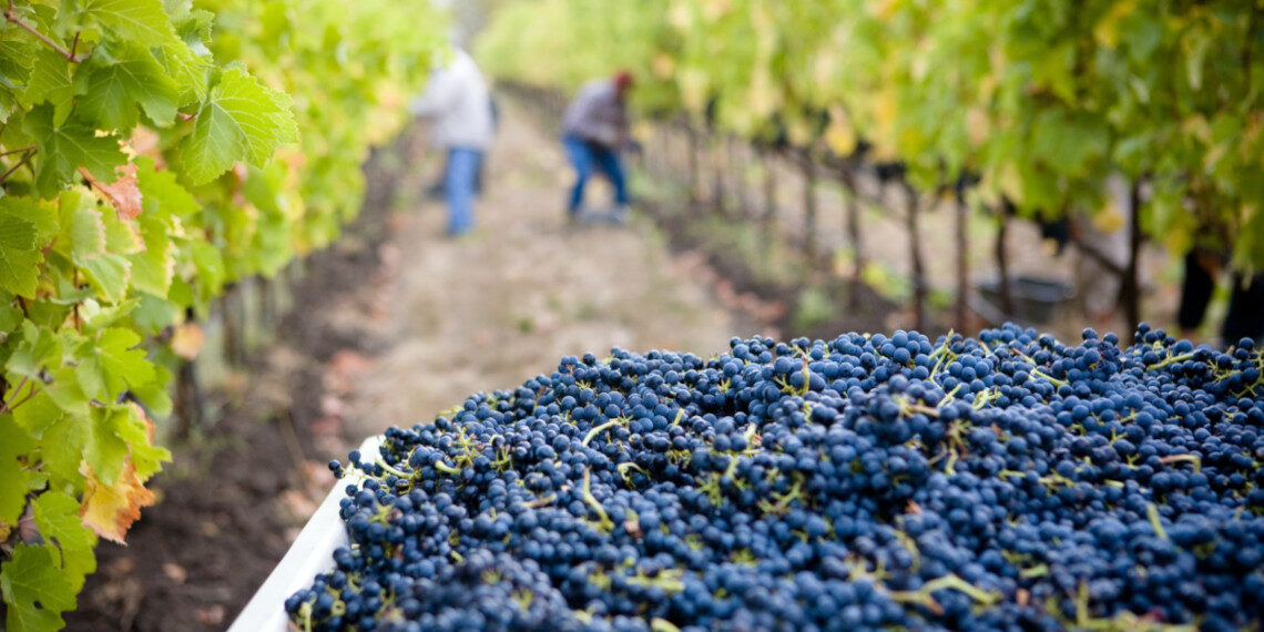 Ε.Ε.: Πρωτοβουλίες για την προστασία των εποχικών εργαζομένων