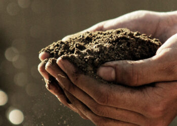 Έρευνα: Πες την γνώμη σου για την “Εκπαίδευση στην περιβαλλοντική βιωσιμότητα”