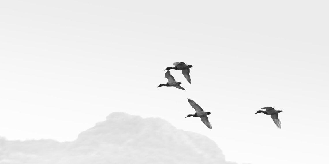 Περιβάλλον: Πρόσκληση για δράσεις από την παγκόσμια σχολική κοινότητα