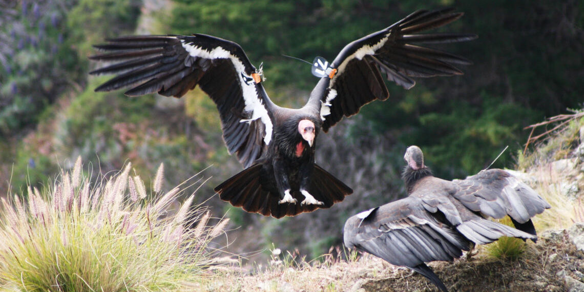 Η (εκπαιδευτική) Κοινότητα σε προσκαλεί στον αγώνα της για το περιβάλλον