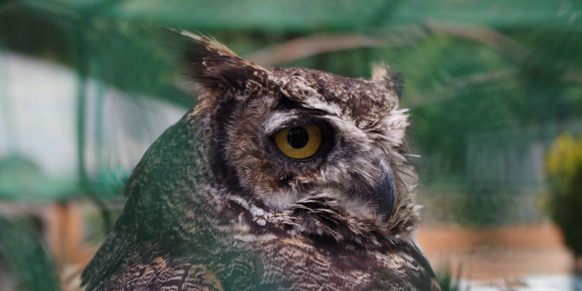 E.Ε.: Στόχος να μετατραπεί σε κλιματικά ουδέτερη ήπειρο έως το 2050