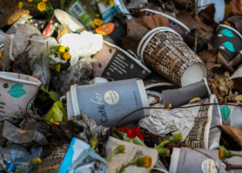 Ευρώπη: “Τέλος εποχής” για τα πλαστικά μιας χρήσης