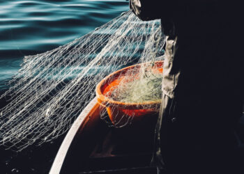 Κοινή Αλιευτική Πολιτική: Nέα πρόταση για τους αλιείς λόγω brexit