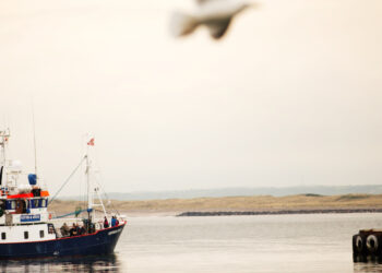 6,1 δισ. για τη βιώσιμη αλιεία και την προστασία των βιοποικιλότητας
