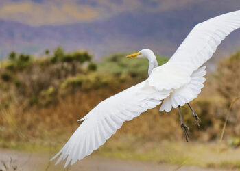 Λάβε μέρος στο Youth Climate Pact Challenge… Προστάτεψε το περιβάλλον