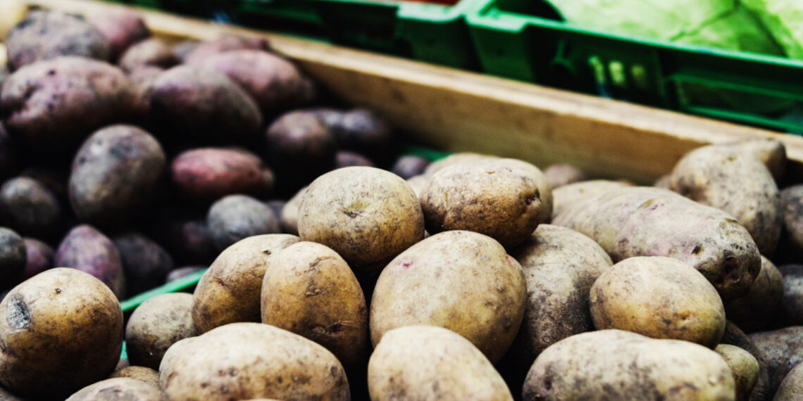 Eurostat: Πρωταθλήτρια η Γερμανία στην παραγωγή πατάτας σε Ε.Ε.