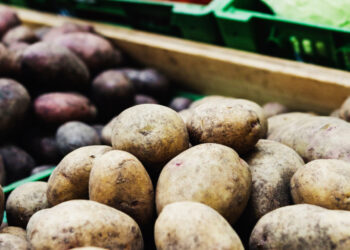 Eurostat: Πρωταθλήτρια η Γερμανία στην παραγωγή πατάτας σε Ε.Ε.