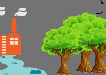 Δράση για το κλίμα: Μάθε τι κάνουν τα 27 Κράτη μέλη για το περιβάλλον