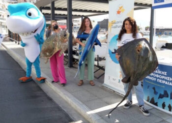 To Europe Direct Piraeus στη «Συμμαχία για Συμβίωση ΙΙ»