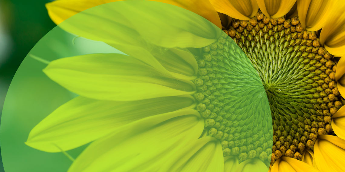 NextGenerationEU: Mια νέα -πράσινη- Ευρώπη… Make It Green