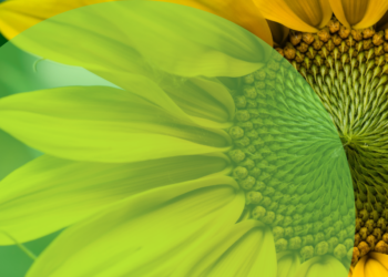 NextGenerationEU: Mια νέα -πράσινη- Ευρώπη… Make It Green