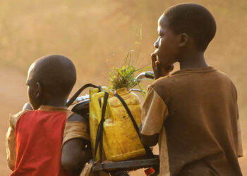 Οι ευρωβουλευτές συζητούν για την εξάλειψη της παιδικής εργασίας