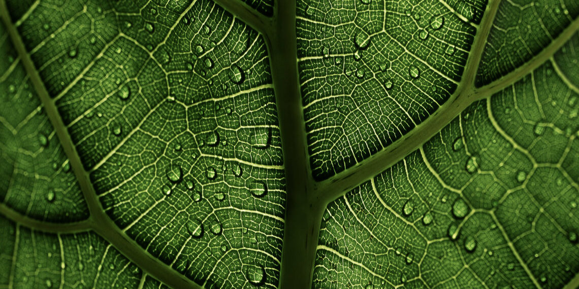 Η Ε.Ε. σε μία τολμηρή σύμπραξη στον τομέα των κλιματικών τεχνολογιών