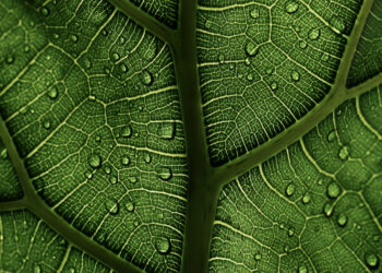 Η Ε.Ε. σε μία τολμηρή σύμπραξη στον τομέα των κλιματικών τεχνολογιών