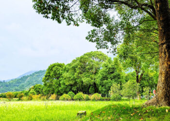 Horizon 2020: 73 έργα προς χρηματοδότηση για την Ευρωπαϊκή Πράσινη Συμφωνία