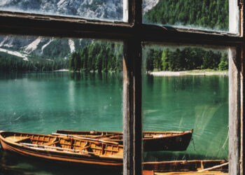 Ε.Ε.: Νέες προτάσεις για τα δάση και τη βιώσιμη διαχείριση του περιβάλλοντος