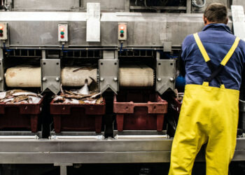 E.E.: Σχέδιο δράσης για την τόνωση της κοινωνικής οικονομίας και των θέσεων εργασίας