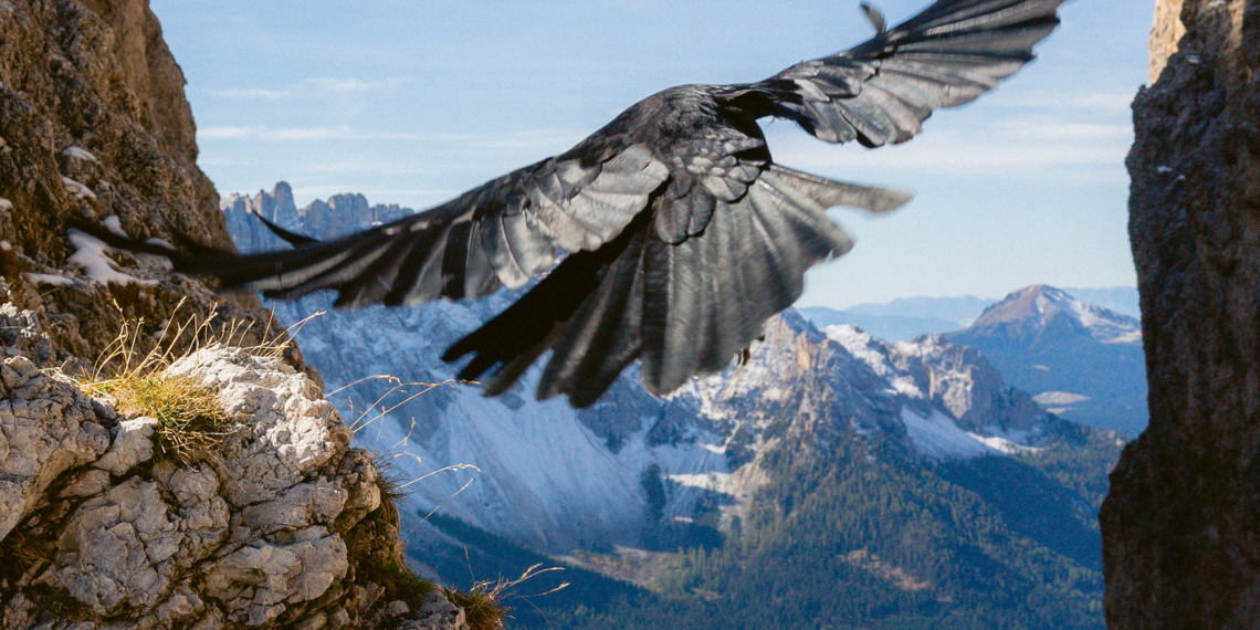 Ε.Ε.- Natura 2000: Το μεγαλύτερο δίκτυο φυσικών προστατευόμενων περιοχών στο κόσμο έγινε 30 ετών