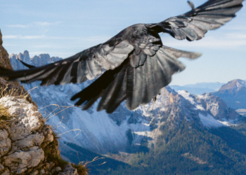 Ε.Ε.- Natura 2000: Το μεγαλύτερο δίκτυο φυσικών προστατευόμενων περιοχών στο κόσμο έγινε 30 ετών