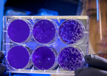 E.E.: 25 εκ. ευρώ για τη σύνδεση της έρευνας με την αγορά