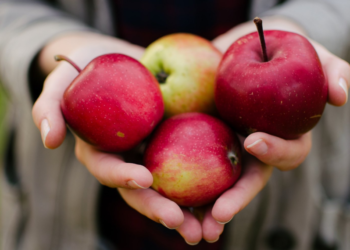 Ε.Ε.: Πρεμιέρα για τα Ευρωπαϊκά βραβεία βιολογικής παραγωγής