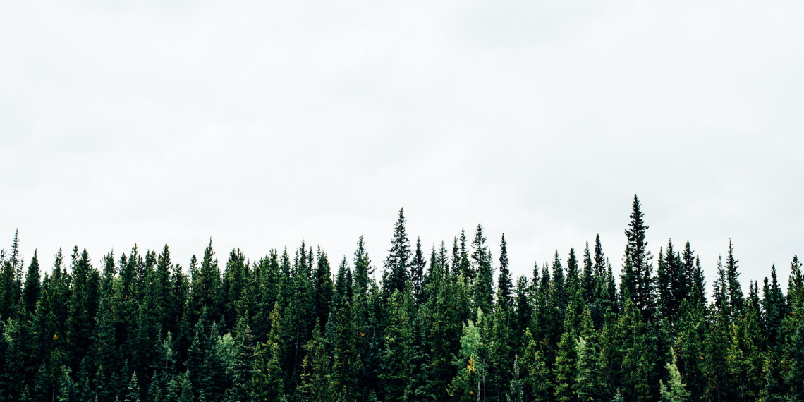 Στην Ελλάδα το βραβείο Natura 2000 για την προστασία χερσαίων εκτάσεων