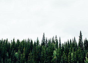 Στην Ελλάδα το βραβείο Natura 2000 για την προστασία χερσαίων εκτάσεων