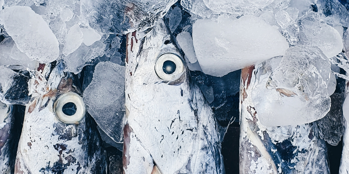 Έκτακτα μέτρα στήριξης στους αλιείς λόγω της ρωσικής εισβολής στην Ουκρανία