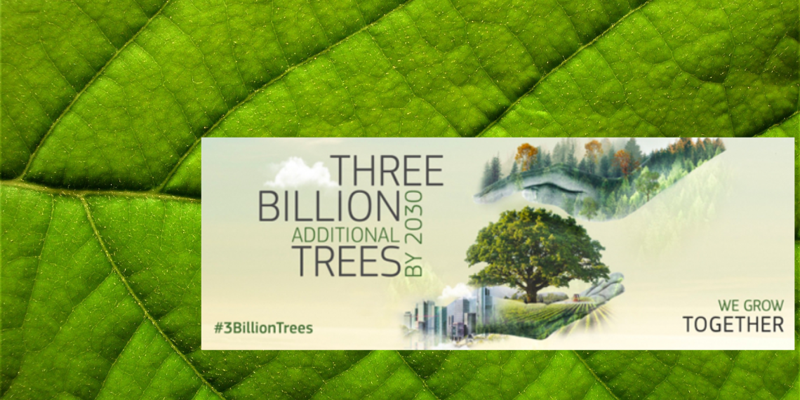 DiscoverEU: Διαγωνισμός φωτογραφίας & video… Γίνε μέρος της αλλαγής