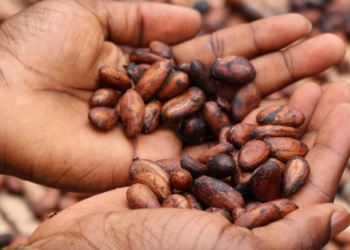 Εupolis: Επιστημονικά αποδεδειγμένο… Το να είσαι βρώμικος σε κάνει ευτυχισμένο