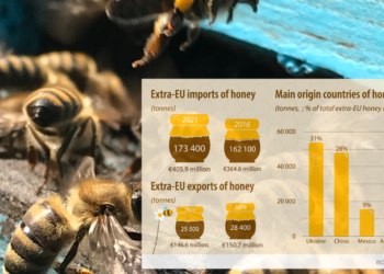 Eurostat: Η Ουκρανία ο κυριότερος προμηθευτής μελιού στην ΕΕ