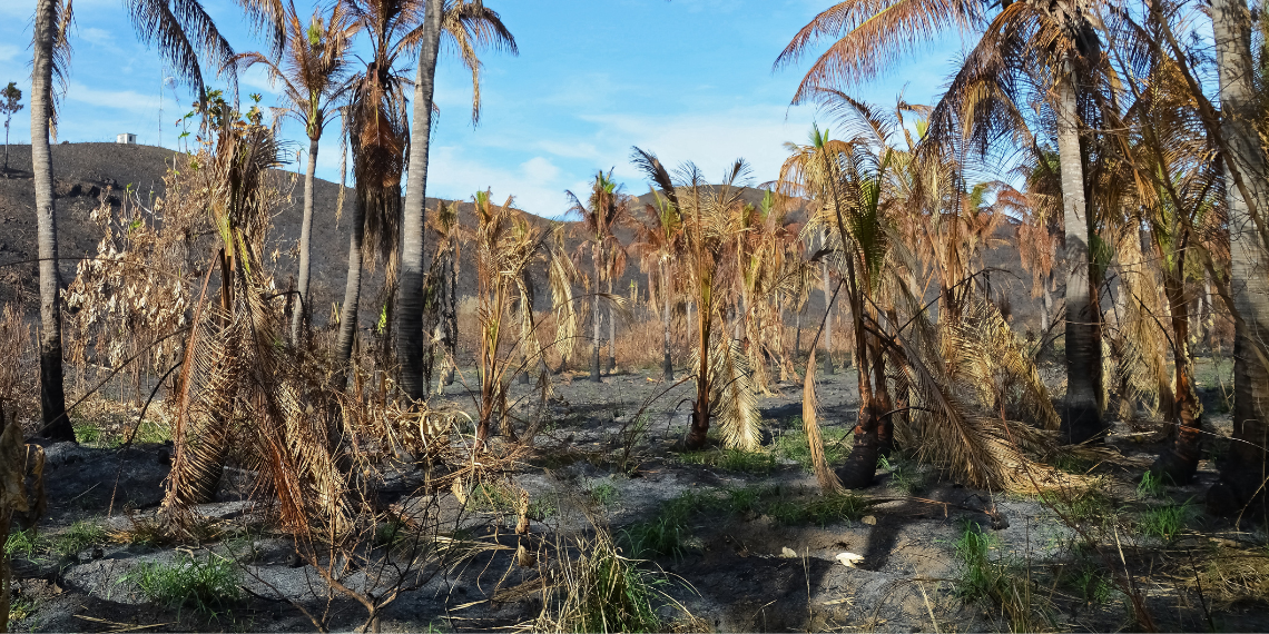 EE: Προώθηση της επανάχρησης επεξεργασμένων αστικών λυμάτων στην άρδευση
