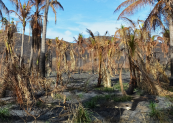 EE: Προώθηση της επανάχρησης επεξεργασμένων αστικών λυμάτων στην άρδευση