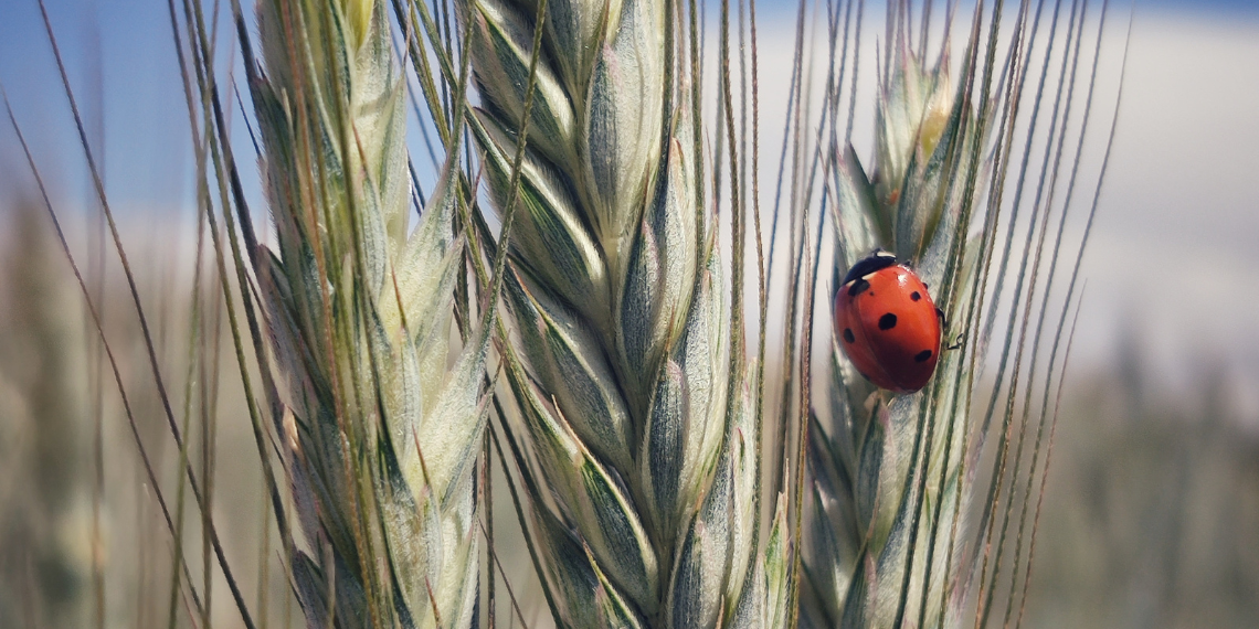 Επιπλέον 100 περιφέρειες δηλώνουν παρών στο έργο της ΕΕ για την κλιματική αλλαγή