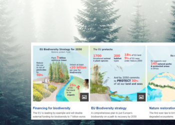 Η ΕΕ στην παγκόσμια διάσκεψη βιοποικιλότητας COP15 στο Μόντρεαλ