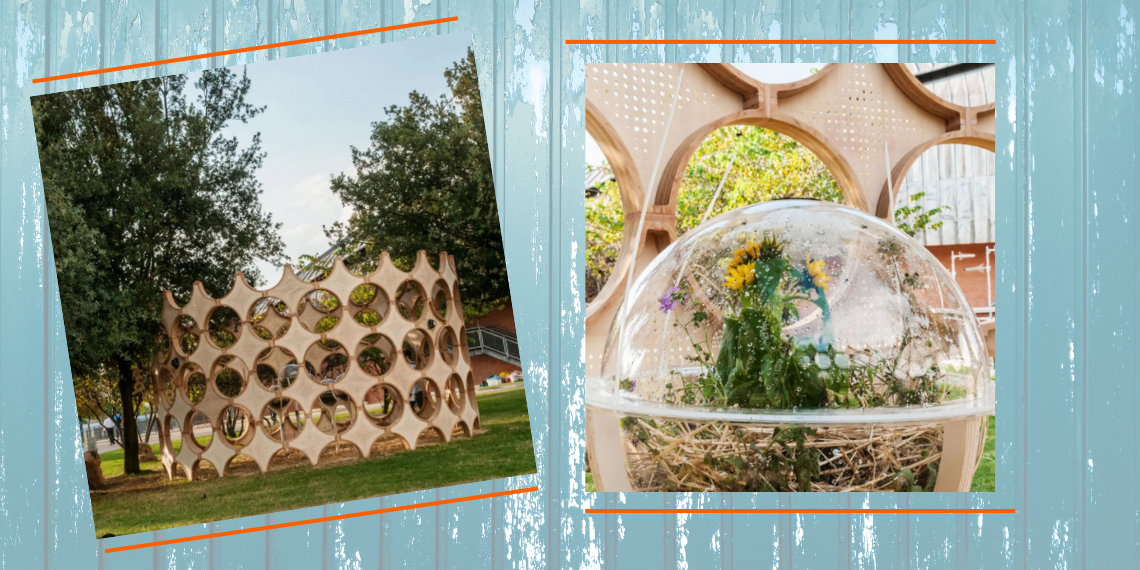 New European Bauhaus 2022 – Wunderbugs: Χώρος συνύπαρξης ανθρώπων – εντόμων – φυτών & μουσικής