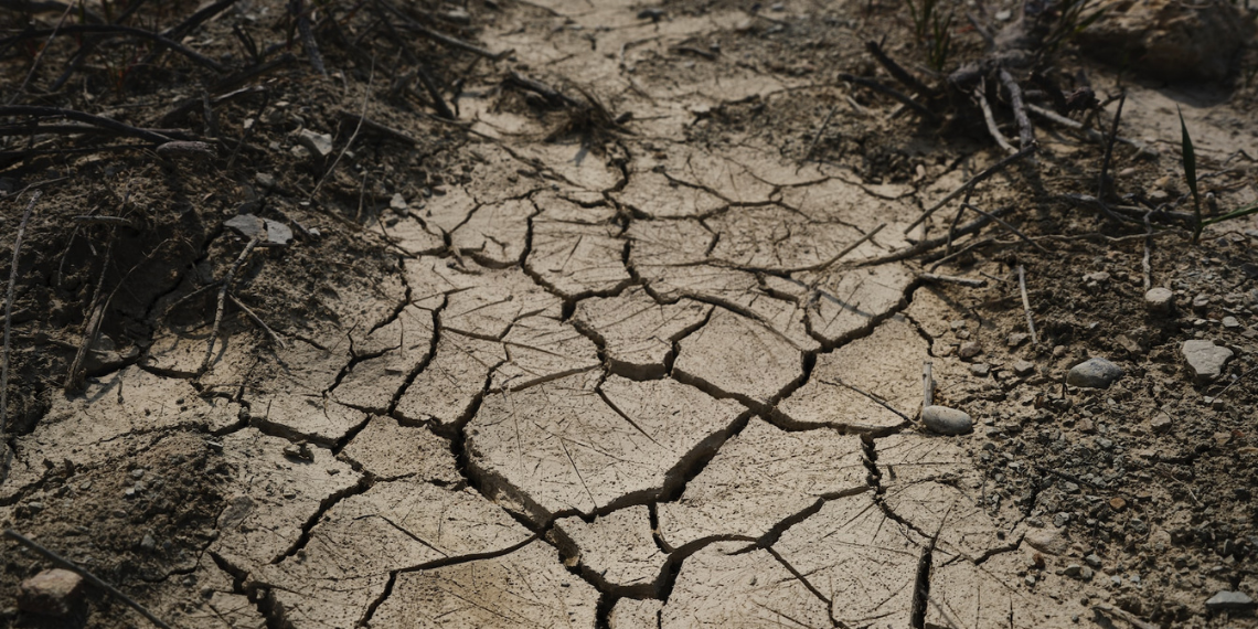 #EUatCOP27: Μάθε να απαντάς στην παραπληροφόρηση για την Kλιματική αλλαγή