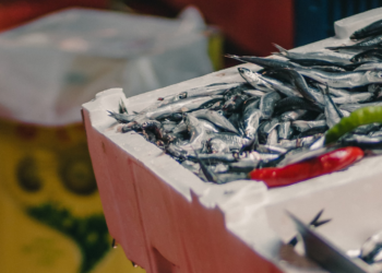 FRESQO: Ελληνική καινοτομία για την αναγνώριση της φρεσκάδας των ψαριών με χρηματοδότηση της ΕΕ