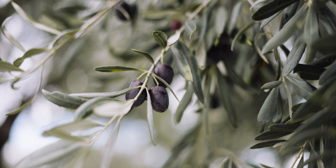 EE: 60 εκατ. στους Έλληνες αγρότες λόγω των συνεπειών του ρωσικού πολέμου στην Ουκρανία