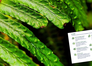 ΕΕ: Προτάσεις για τη βιομηχανία μηδενικών καθαρών εκπομπών