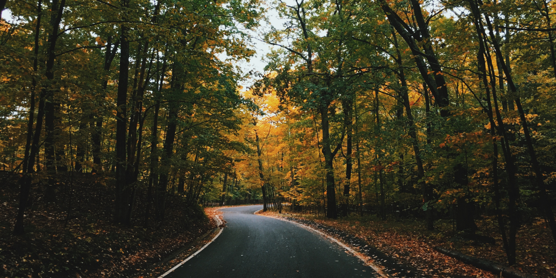 Νέοι κανόνες της ΕΕ για τη δασοκομία… Tα δάση ως δεξαμενές αποθήκευσης άνθρακα