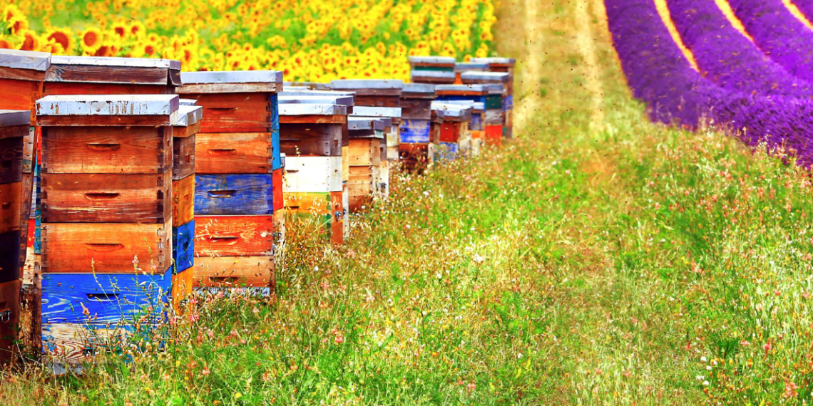 Σημαντικό μέρος του μελιού που εισάγεται στην ΕΕ είναι ύποπτο για πιθανή νόθευση